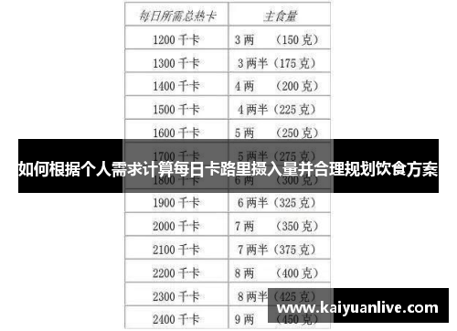 如何根据个人需求计算每日卡路里摄入量并合理规划饮食方案