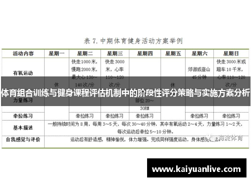 体育组合训练与健身课程评估机制中的阶段性评分策略与实施方案分析