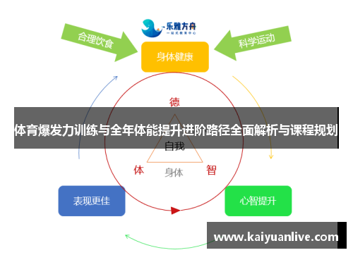 体育爆发力训练与全年体能提升进阶路径全面解析与课程规划